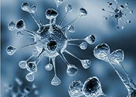 BB贝博体内体表药效试验顺利通过药监局审查