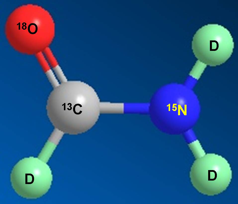 BB贝博科研人员受邀担任同位素技术互换培训会讲师