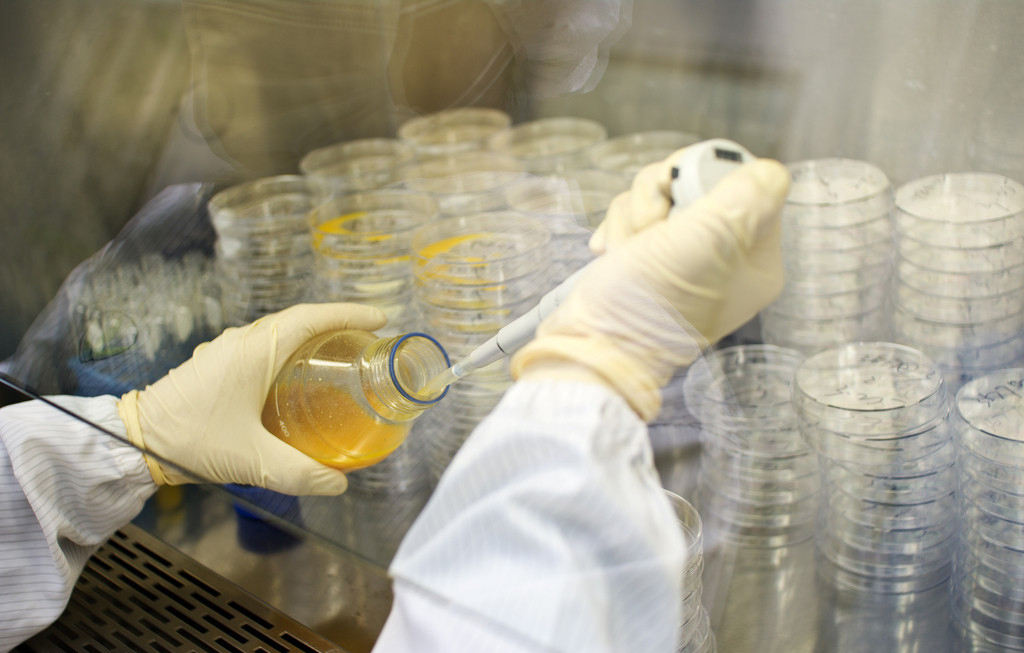 首页-BB贝博艾弗森公司官网