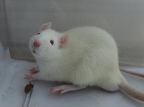 首页-BB贝博艾弗森公司官网