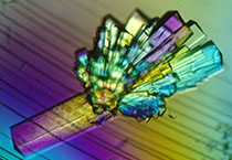 BB贝博副总裁金晓玮博士等一行出席了在上海进行的中国科学技术大学堂友会沙龙