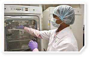 12月20日，BB贝博与宣泰医药签定战术合作和谈