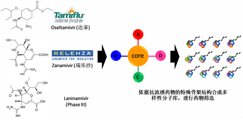 图2：以现有抗流感药物的结构为基础，进行多样性药物分子库的合成。