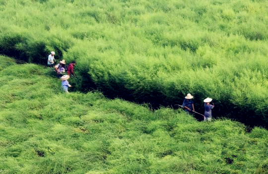 首页-BB贝博艾弗森公司官网