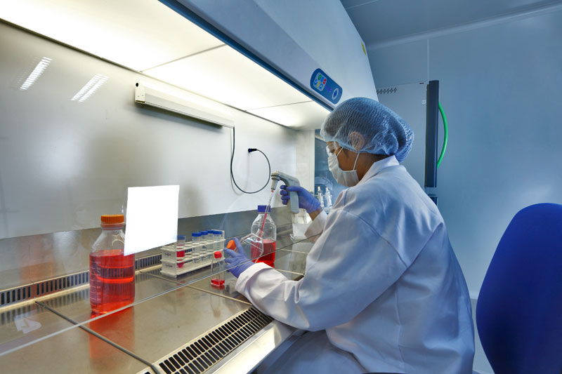 2015年药品特殊审评数据分析：哪些新药搭上了快车？