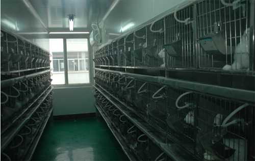 BB贝博尝试动物房