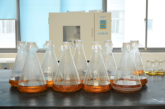 BB贝博造剂中心GMP中试车间落成