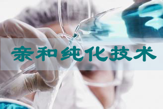 BB贝博亲和纯化技术服务