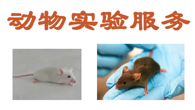 BB贝博动物尝试表包服务