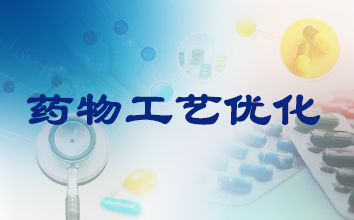 BB贝博造药工艺优化服务