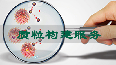 BB贝博质粒构建服务