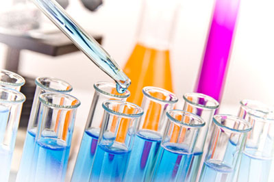 BB贝博生物尝试