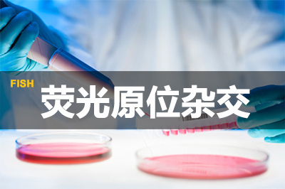 BB贝博荧光原位杂交技术