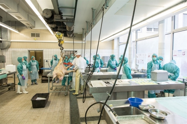 全球医药市场超万亿美元，Top10累计份额超过三成