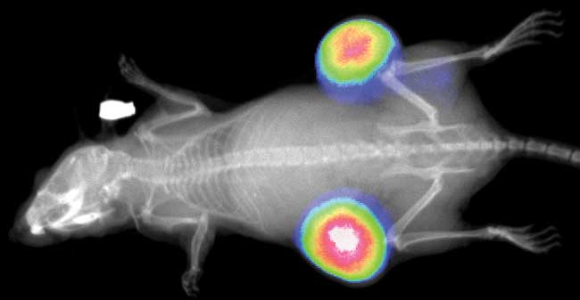 首页-BB贝博艾弗森公司官网
