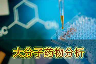 BB贝博大分子药物分析服务