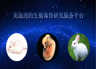BB贝博的生殖毒性钻研服务平台