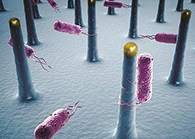 将来的药丸里，可能有一万亿幼我工刷新的细菌？