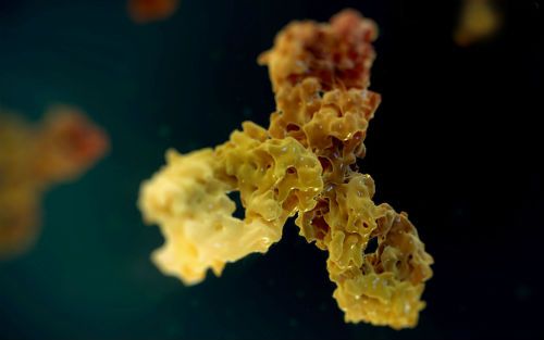 首页-BB贝博艾弗森公司官网