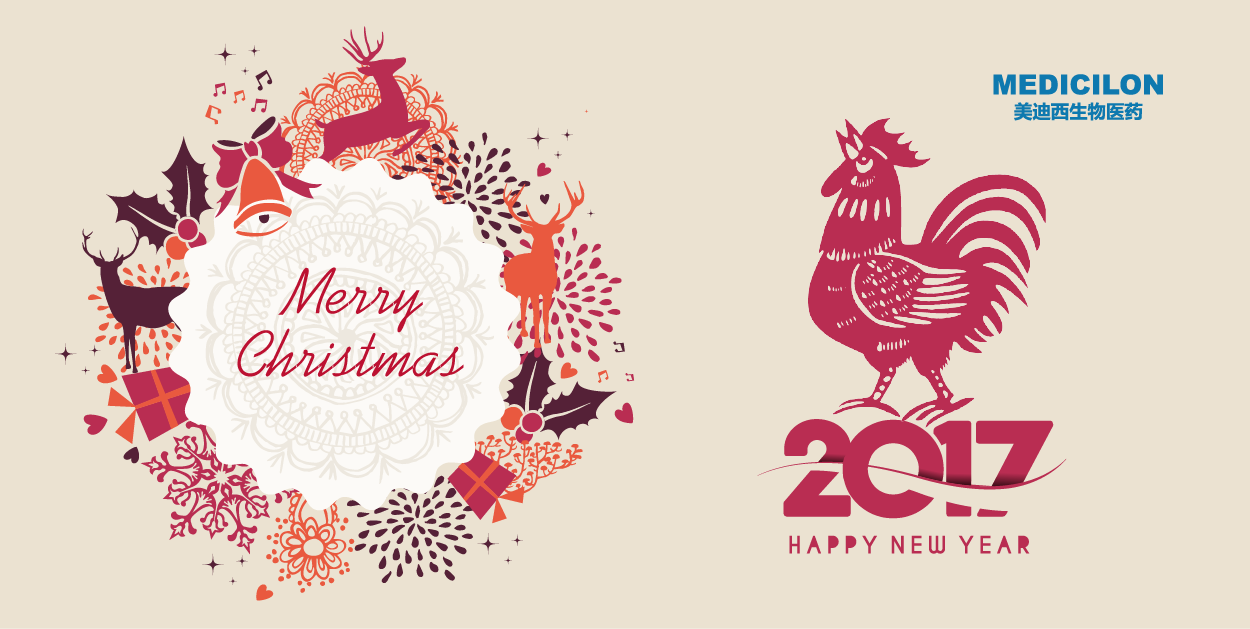 BB贝博生物医药祝您和您的家人圣诞、元旦欢乐!