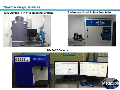 BB贝博副总裁汪俊博士SAPA-DC会议演讲PPT