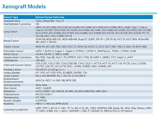 BB贝博副总裁汪俊博士SAPA-DC会议演讲PPT