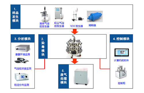 图2 幼动物口鼻吸入露出系统四大？ 
