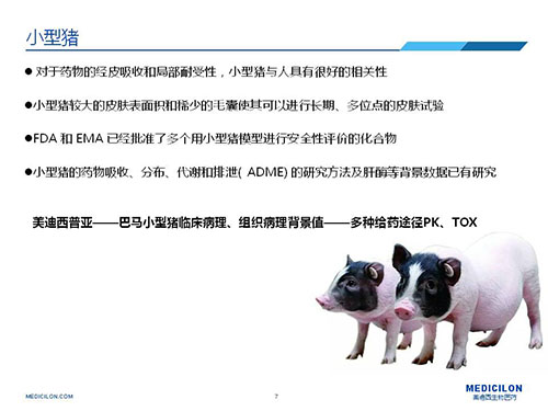 皮肤涂抹试验中，受试动物选择幼型猪更好