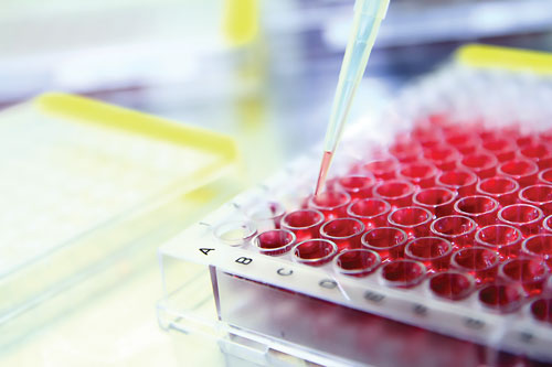 2017上半年FDA核准药品全方位解读