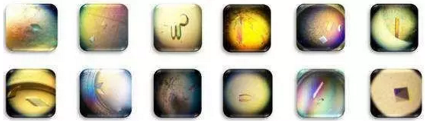 首页-BB贝博艾弗森公司官网