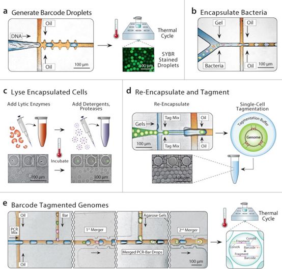 首页-BB贝博艾弗森公司官网