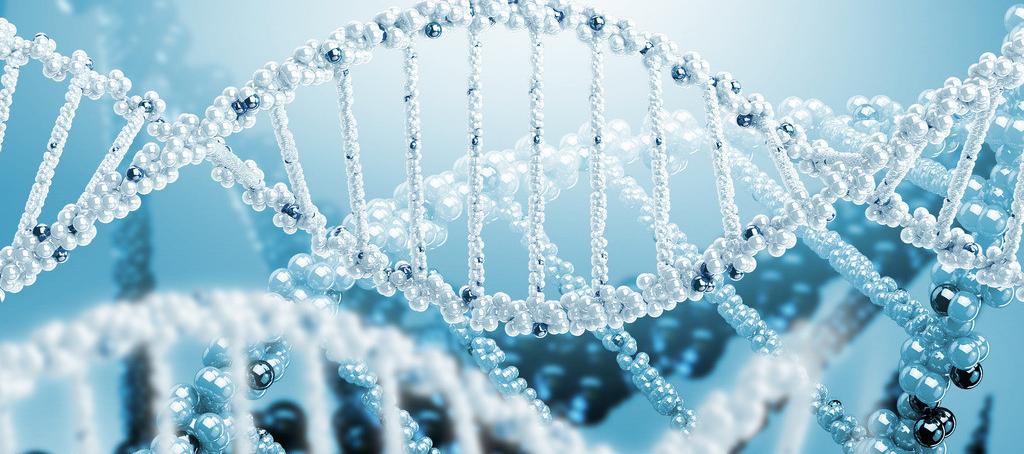 浅谈BB贝博抗体药物PK分析步骤学设计的思考重点
