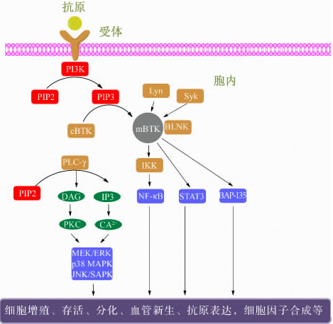 首页-BB贝博艾弗森公司官网