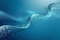 【盘点】CYP1B1抑造剂的钻研近况