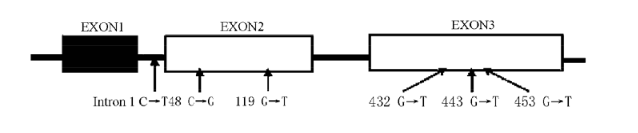 首页-BB贝博艾弗森公司官网
