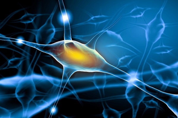 【盘点】单酰甘油酯酶（MAGL）抑造剂的钻研进展