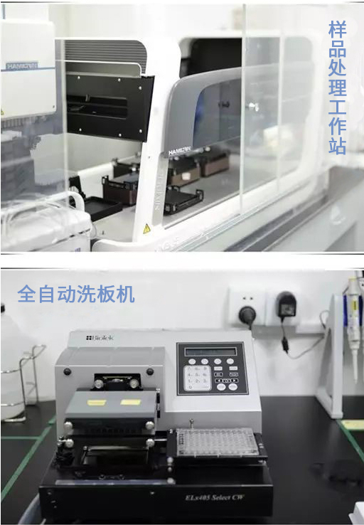 首页-BB贝博艾弗森公司官网