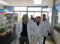 BB贝博发展办公场所节前安全卫生大查抄