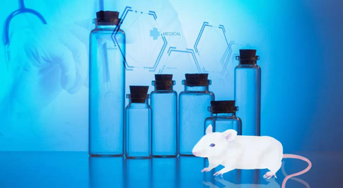 BB贝博-您梦想的DMPK钻研同伴