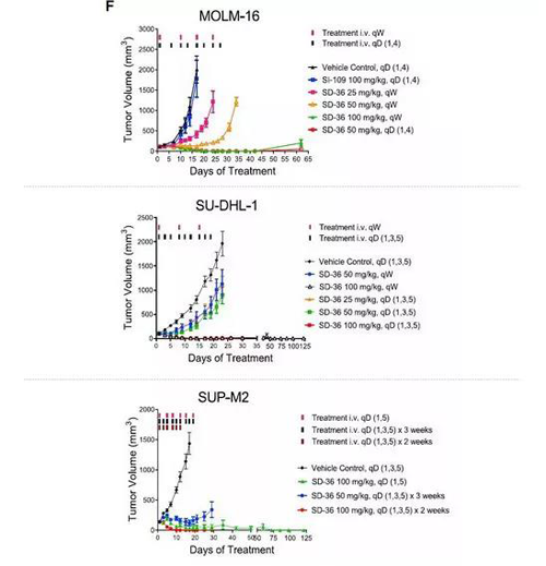 SD-36在动物模型药效试验中阐发卓越