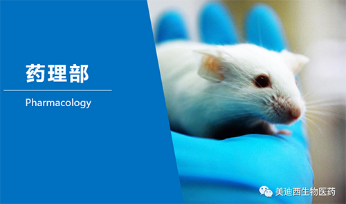 BB贝博药理部开发了肺癌、结肠癌、胃癌等12种PDX模型。