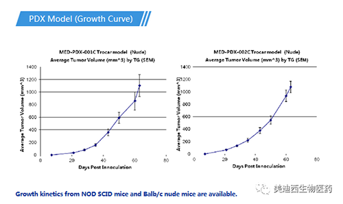 BB贝博PDX药效模型