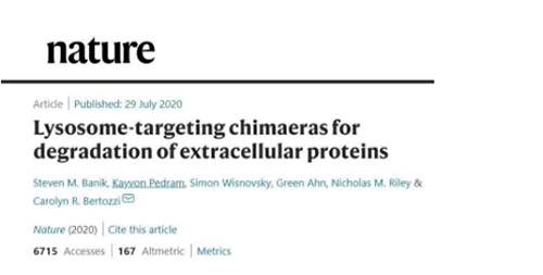 一种分歧的蛋白降解技术——溶酶体靶向嵌合体（lysosome-targeting chimaeras, LYTACs）