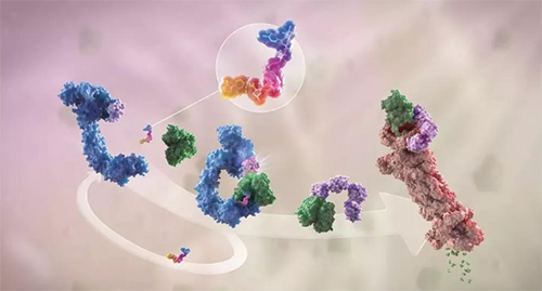 LYTAC出世，与PROTAC并肩作战针对不成成药的靶点