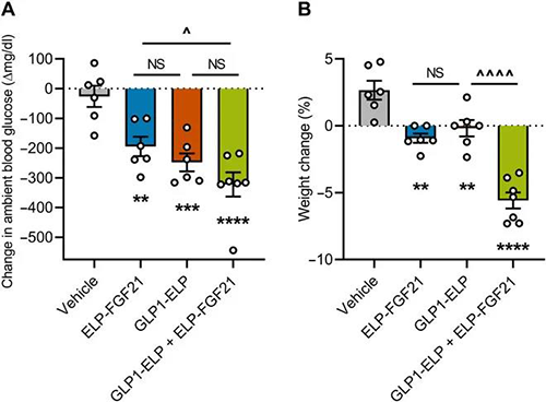 GLP-1和FGF21共同医治加强了单药医治的血糖降低和体沉增长抑造作用 BB贝博