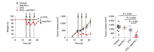 与对照组及仅使用PD-1疗法的模型幼鼠对比，选取短期饥饿共同PD-1疗法的393P细胞同源移植肿瘤幼鼠体内的肿瘤体积有了显著的收缩。
