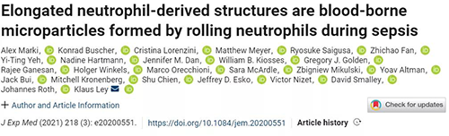 一种神秘颗粒被发现了 ！它能否成为败血症早筛标志物？