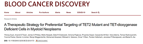 钻研者描述了一种新型靶向抗癌药物，这种药物可能会有效地医治某些常见的白血病。