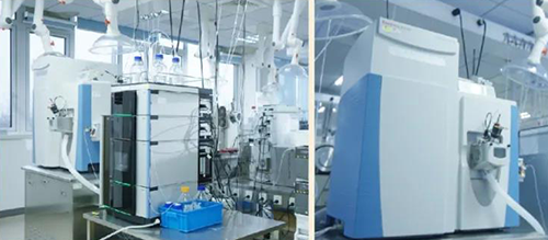 BB贝博DMPK分析服务