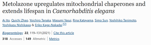 来自日本大阪市立大学的科学家搜索了现有药物的化学“文库”，他们发现一种名为美托拉宗的抗高血压药可耽搁秀丽隐杆线虫的寿命，标志取抗衰老药物开发的第一步
